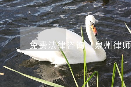 免费法律咨询 泉州律师 免费法律咨询 泉州律师